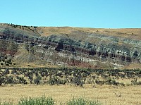 Dinosaur national park (26).JPG